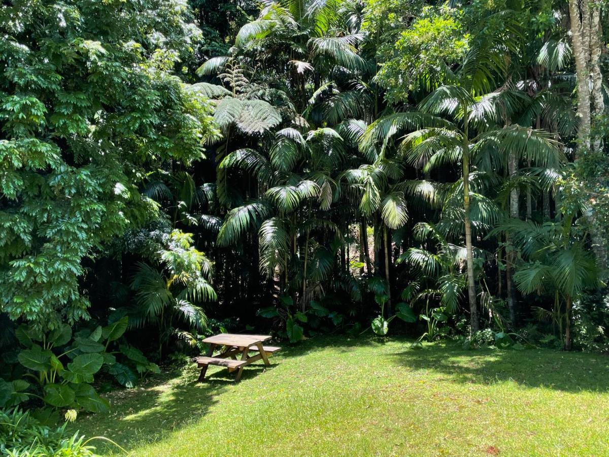 Romantic Cottage, Tamborine Mountain Екстер'єр фото