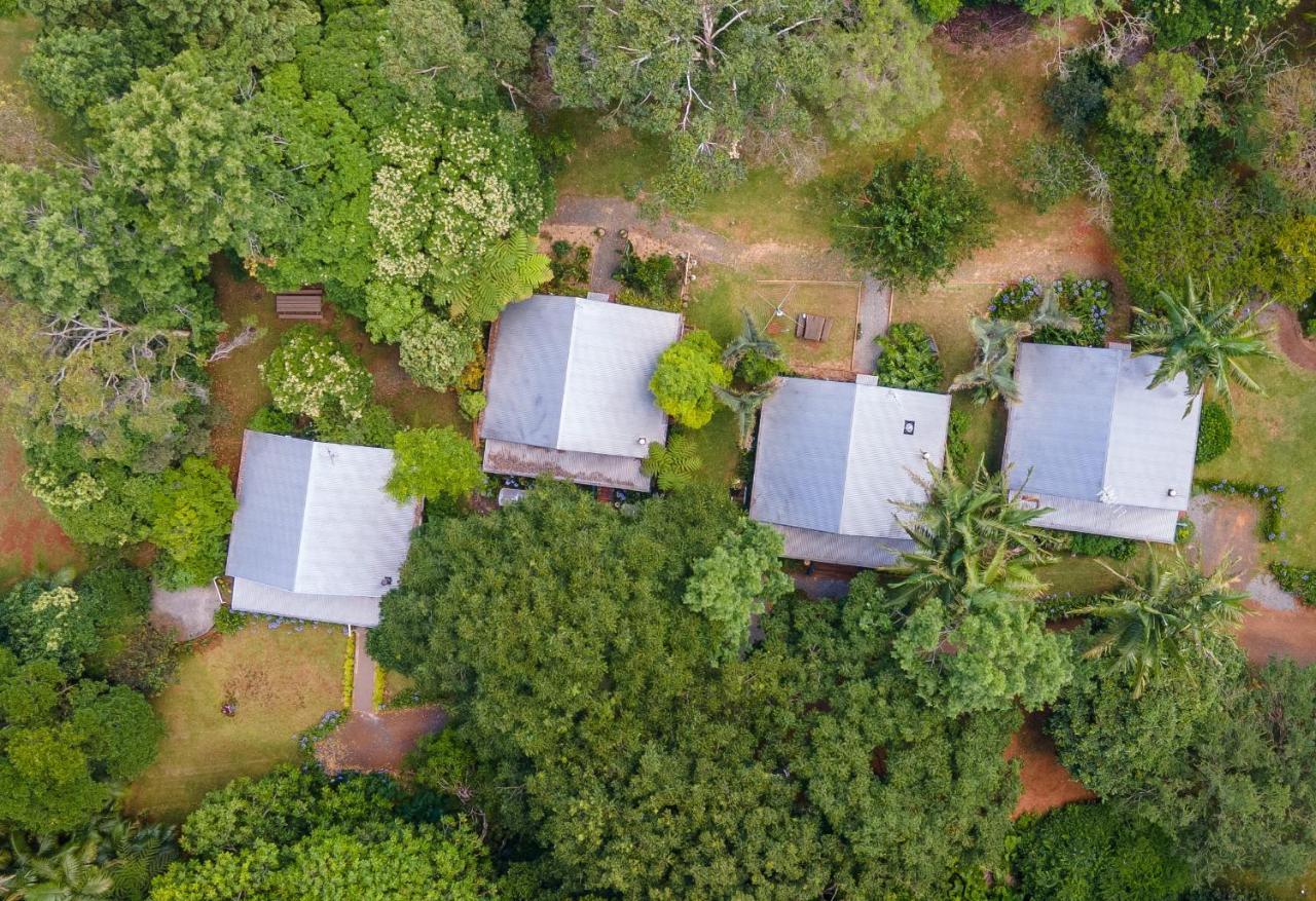 Romantic Cottage, Tamborine Mountain Екстер'єр фото